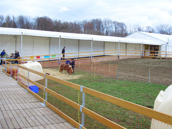 Beispiel Festhalle