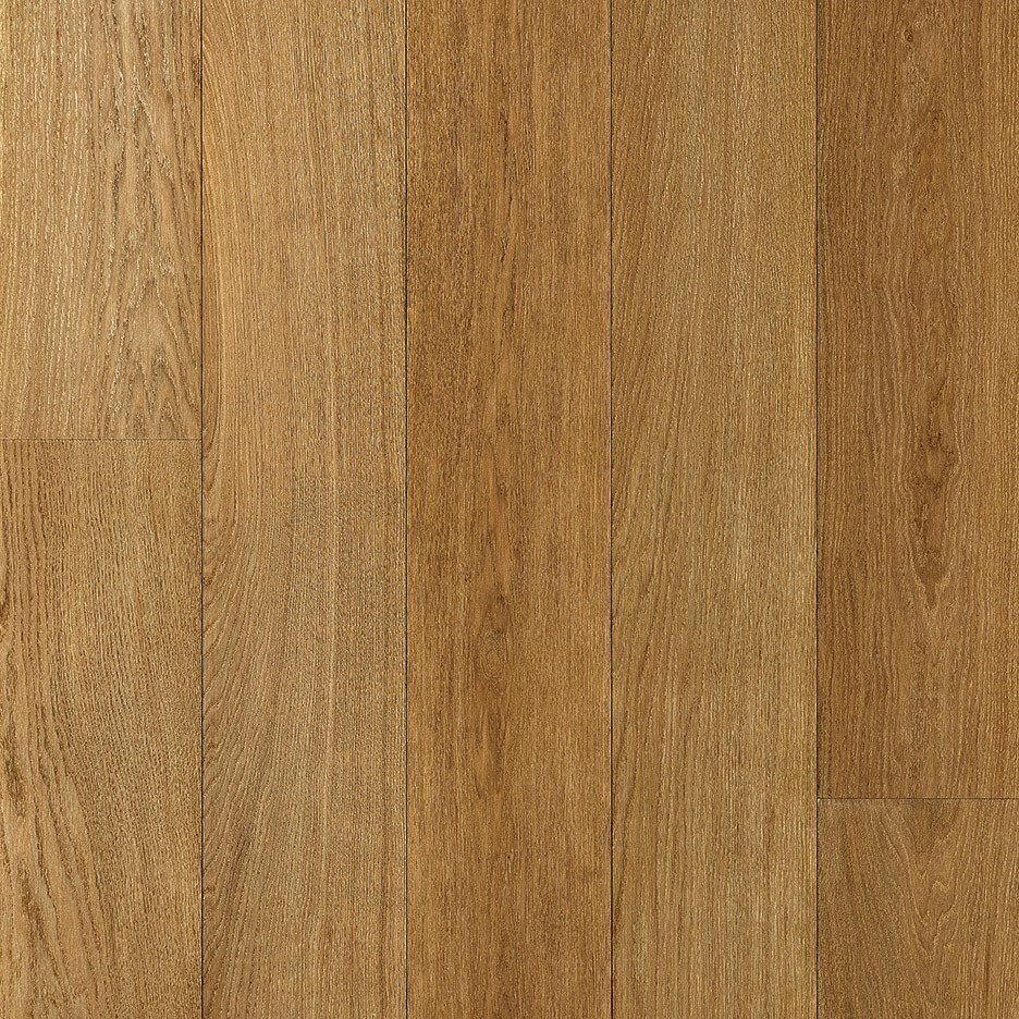 Belgiqa Royal Fume Fonce