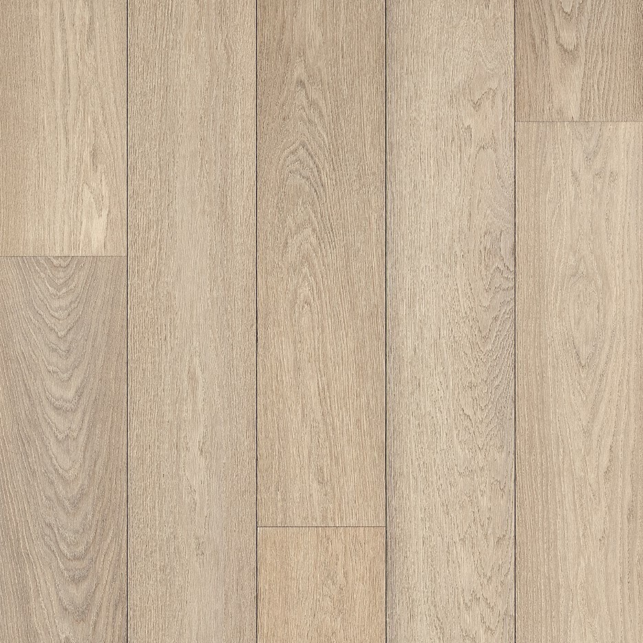 Belgiqa Olympus Apollo